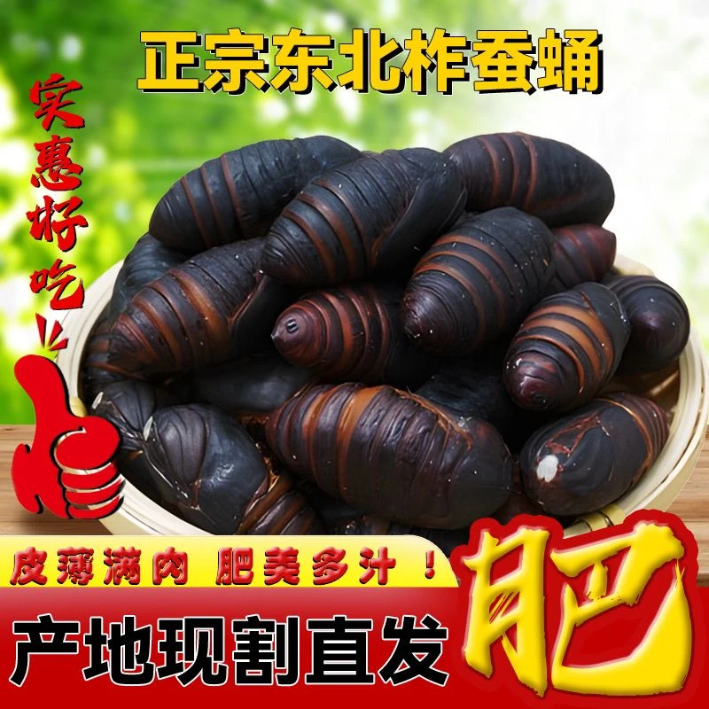 东北西丰茧蛹大小黑蛹 煮熟 高蛋白质 多种膳食纤维1斤 京东包邮
