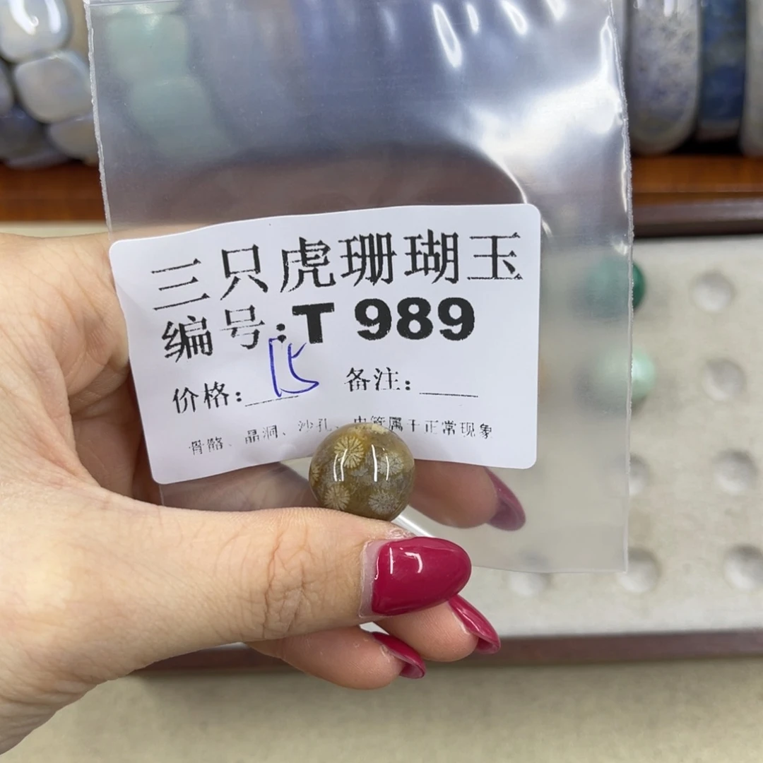 棵***棵硅化珊瑚（珊瑚玉）h未镶嵌