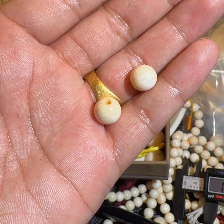 开***众吊坠菩提根/象牙果