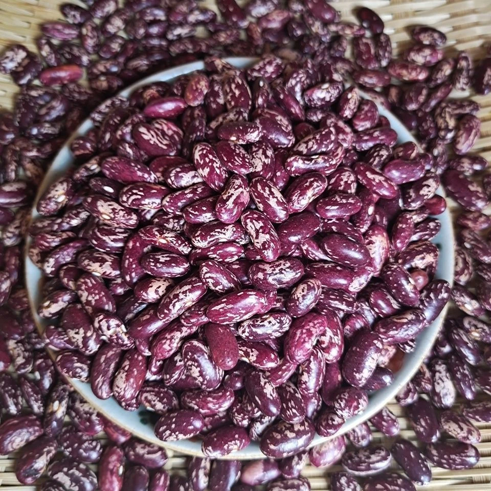 贵州花豆芸豆四季豆酸菜豆米紫花豆云豆豆米火锅专用豆米新豆碴粥