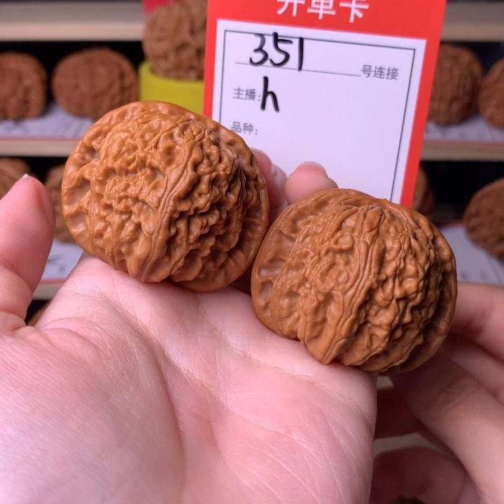 核桃41白狮子351号