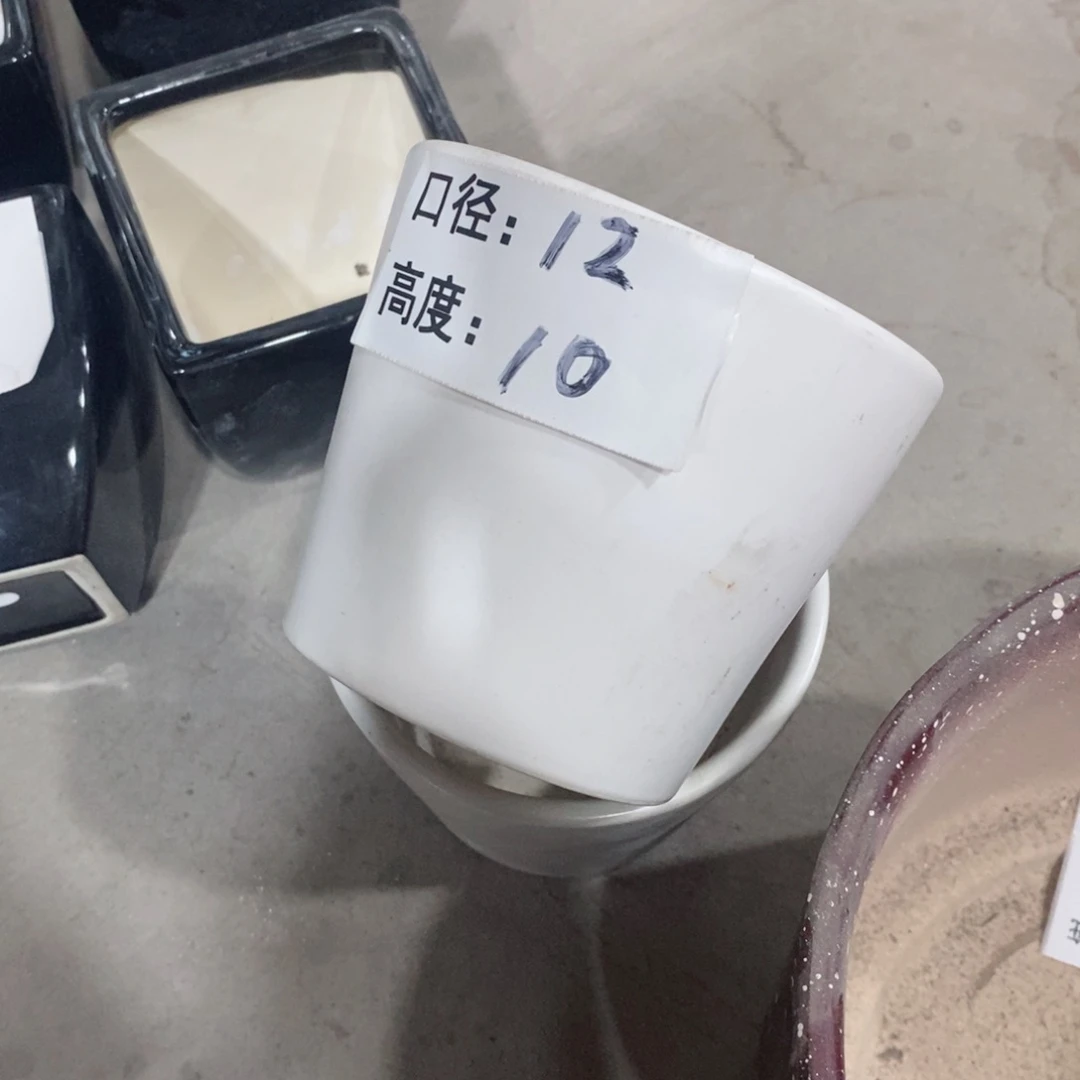 【闪购商品】微瑕-口12×10-2个182