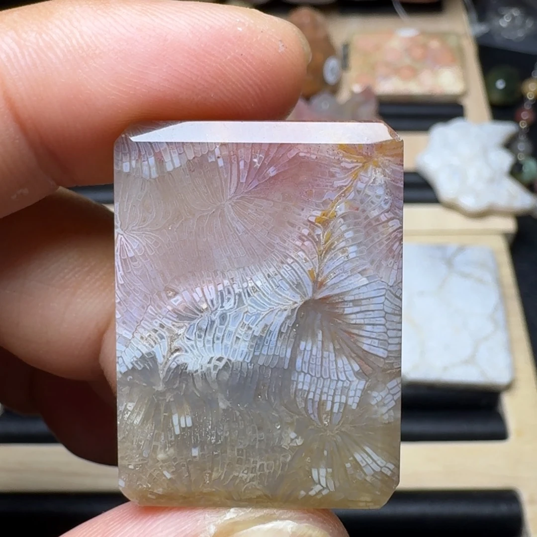 未镶嵌纯天然色有机玉石保真色硅化玉