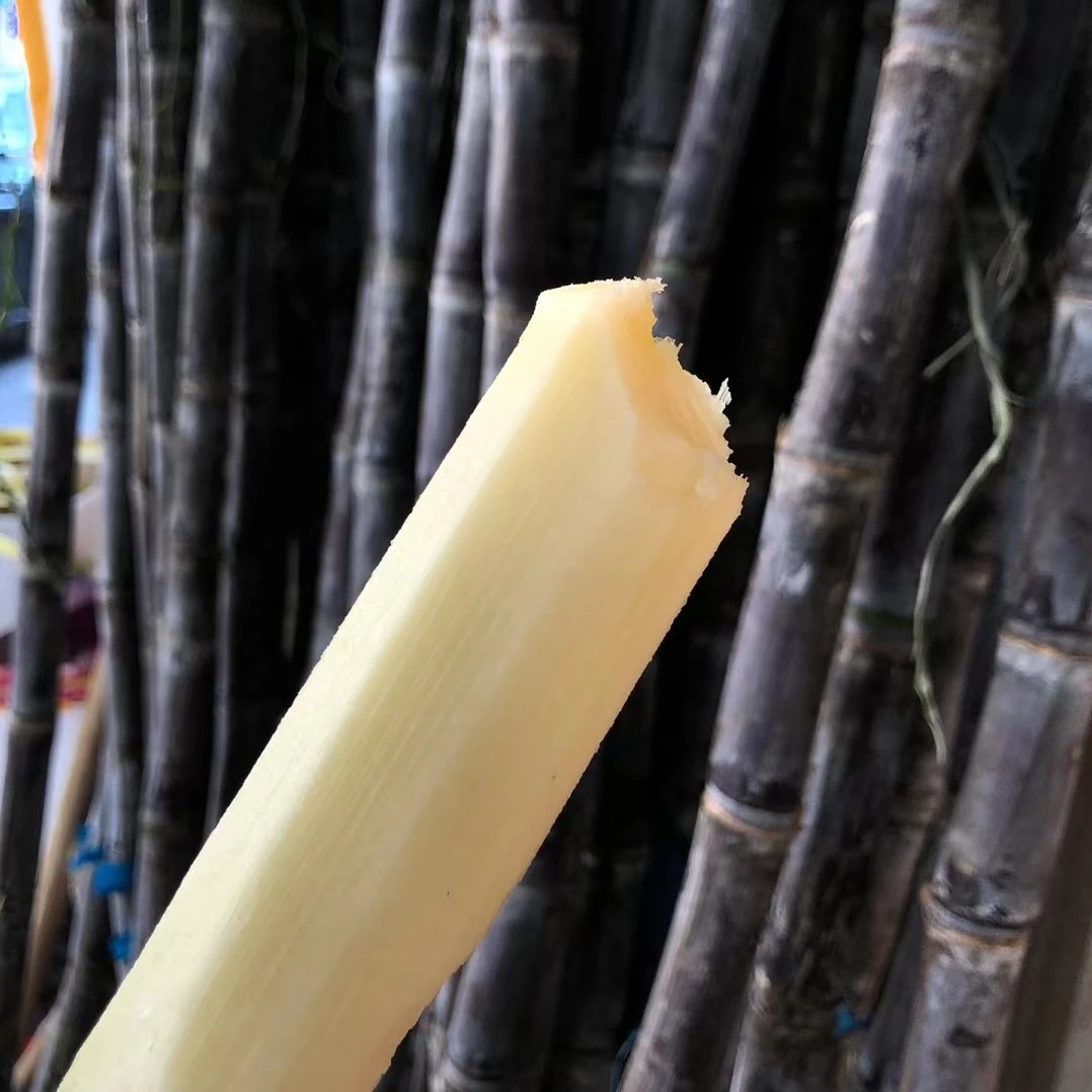 甘蔗一整根甜蜜蜜帮切皮