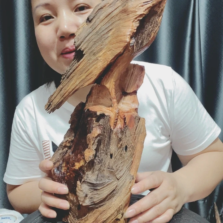 快*百年树的设计风格