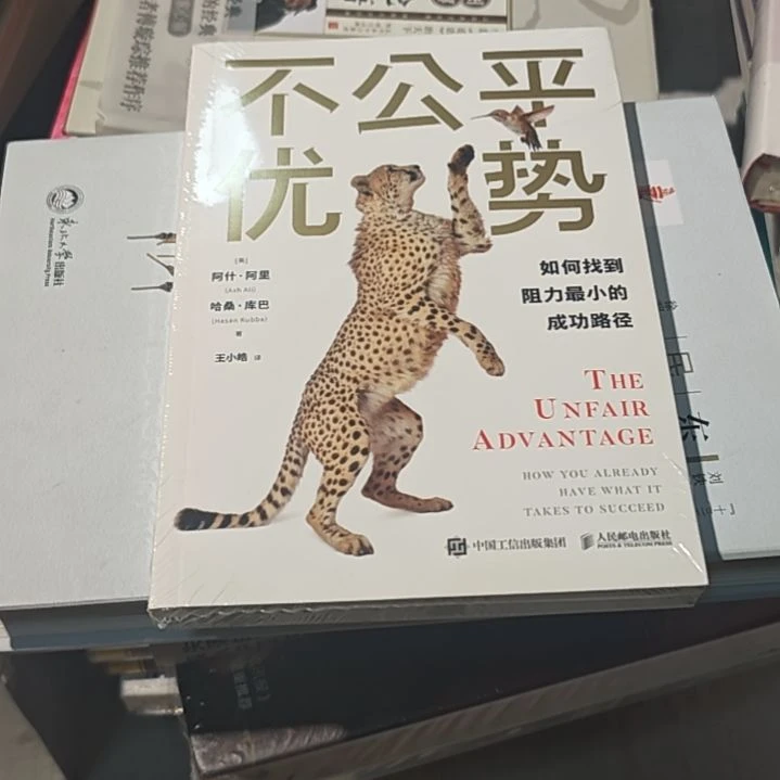 不公平的优势平装库存书