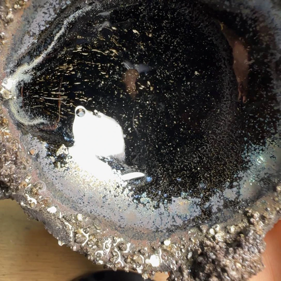 茶盏柴烧建盏闪购链接312