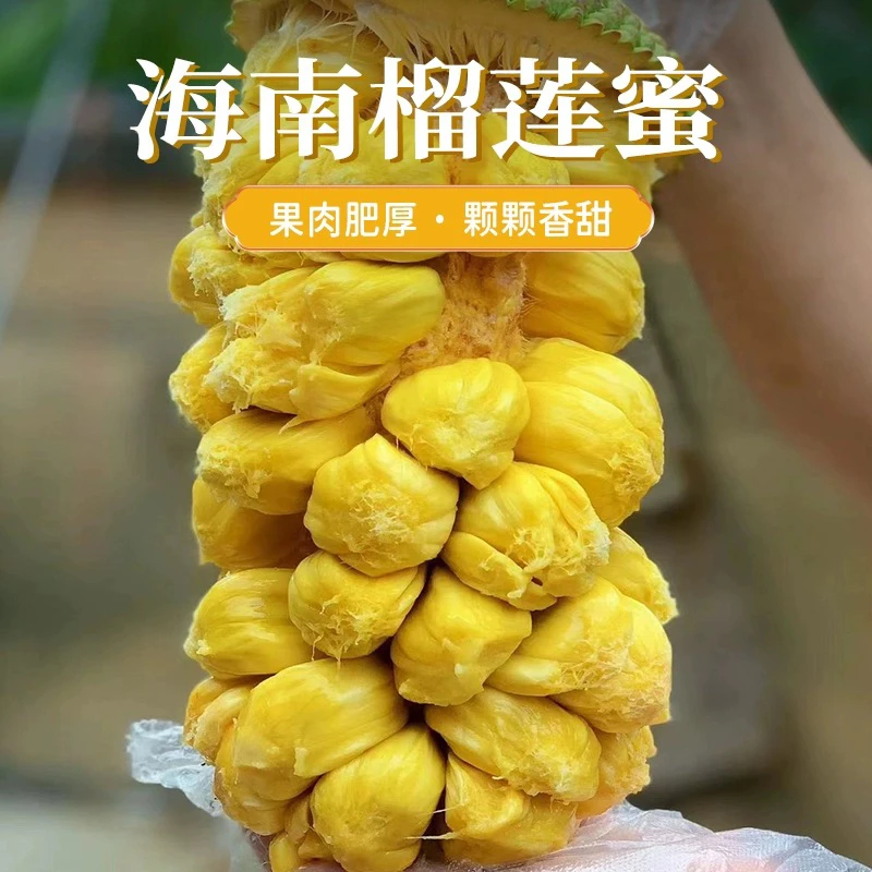 【顺丰】爆甜海南正宗榴莲蜜海南新鲜水果软糯香甜新鲜采摘产地直发