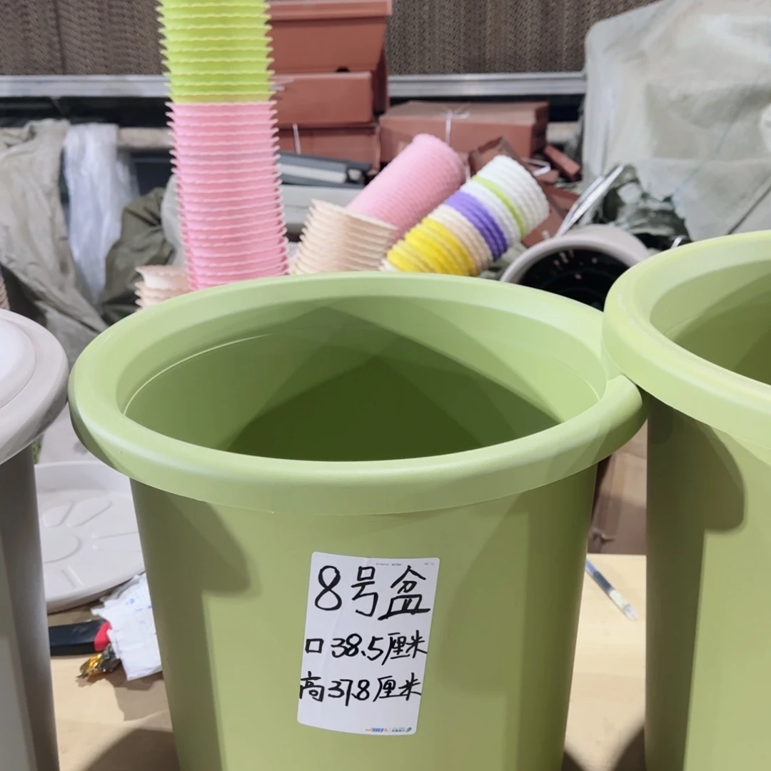 塑料四季8号1个果绿带拖