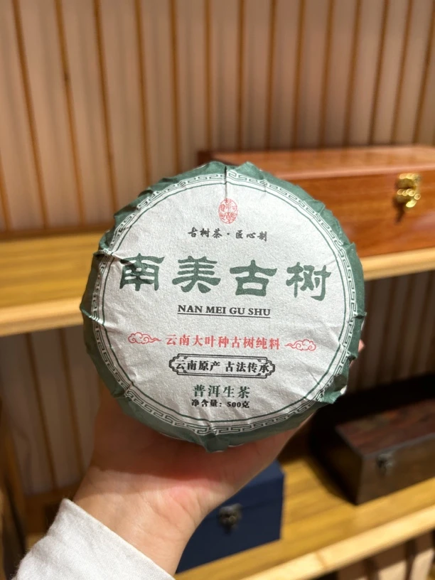 南美古树黄金瓜2025年头春头採普洱生茶500克坨