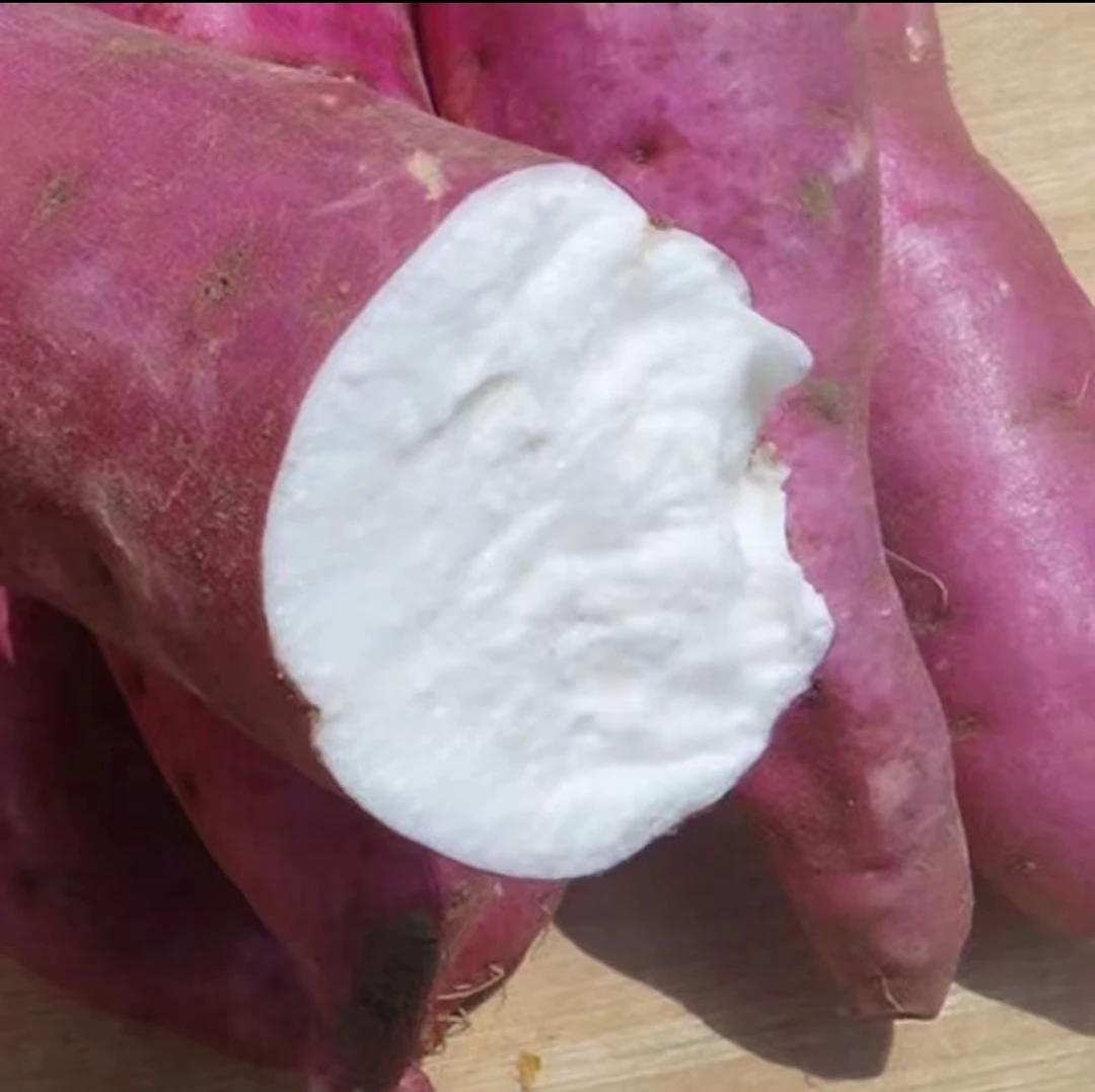 老品种红皮白心红薯软糯香甜河南特产