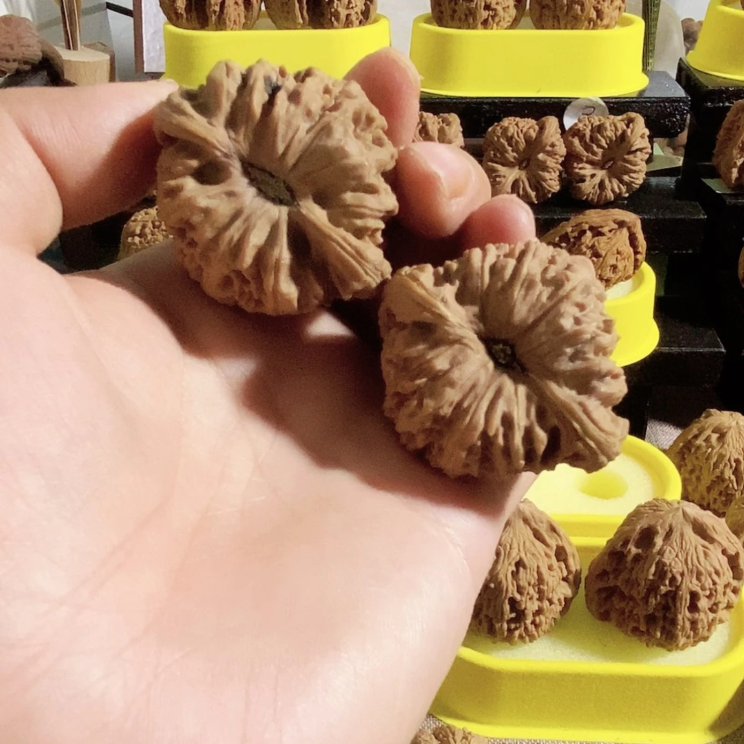 木质类今天是不是又要