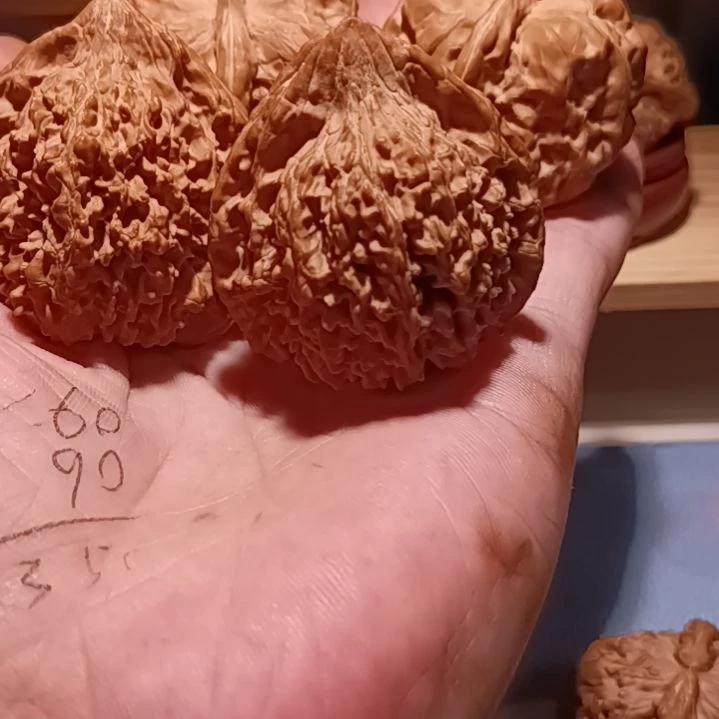 *****一对全品无修蛤蟆和一对全品无修满天