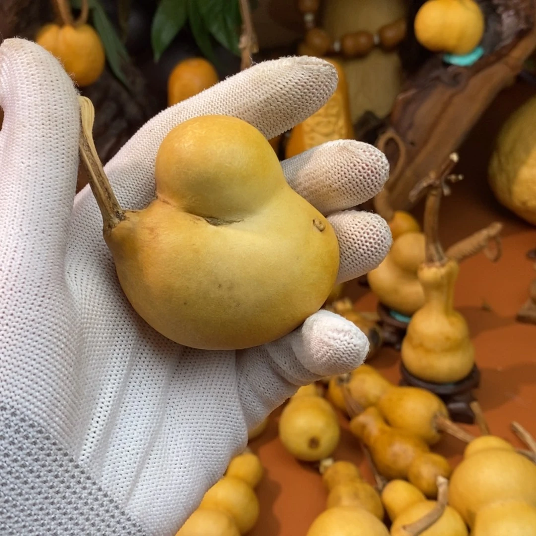 Y***.啦啦教练咯教练咯教练