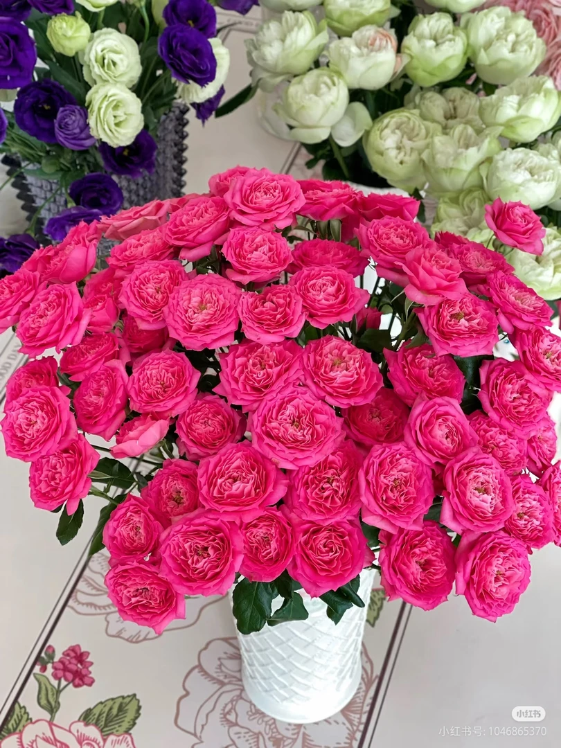 【好物鲜花】A苏菲宝贝10支