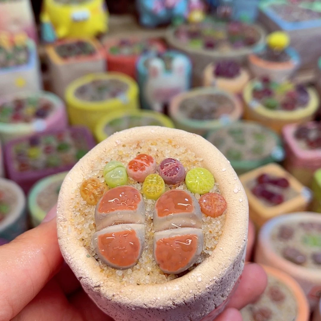 532。8888888888888888888