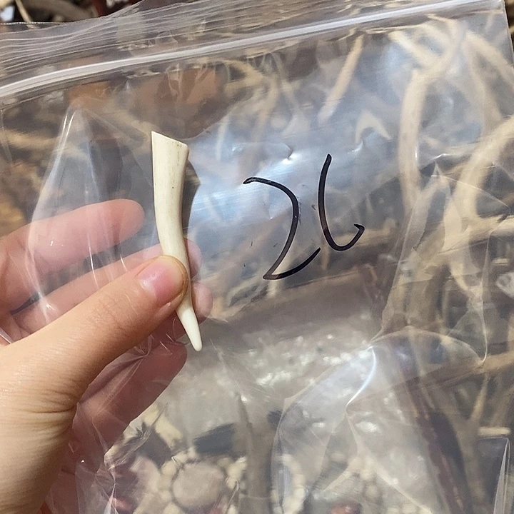 一***8无非金属鹿角鹿角