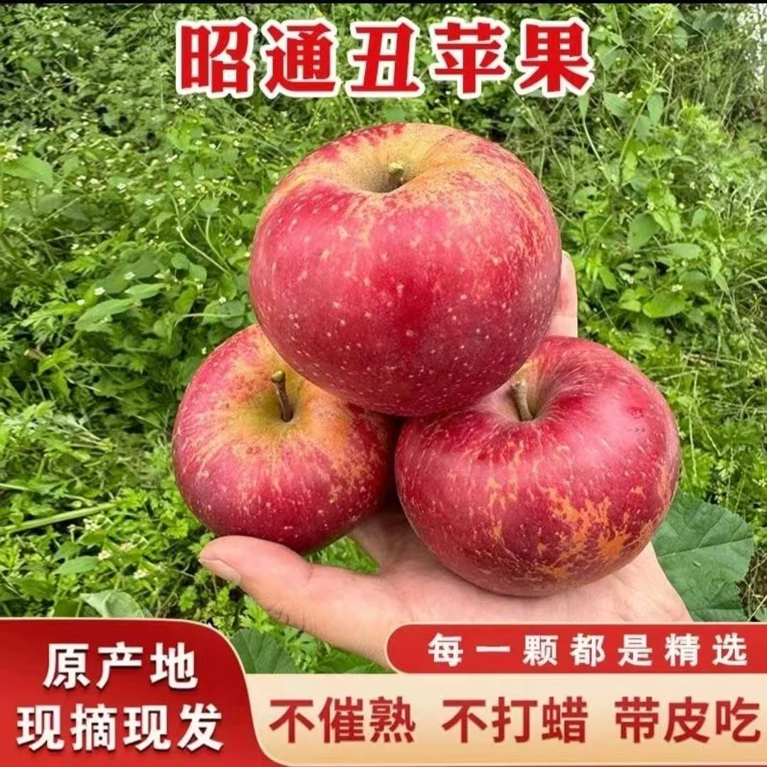 正宗云南昭通冰糖心丑苹果新鲜现摘脆甜多汁当季水果