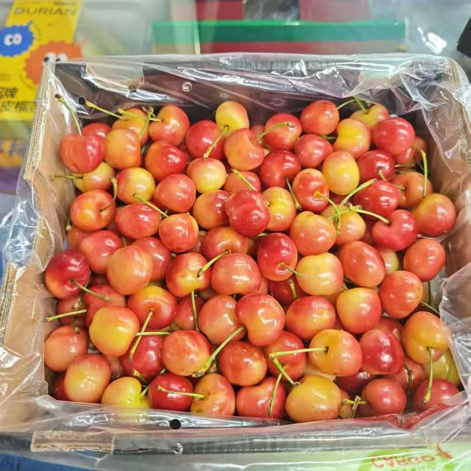 空运金车雷尼尔JJJJ智利车厘子一盒2000克内附果径卡雷尼尔智利