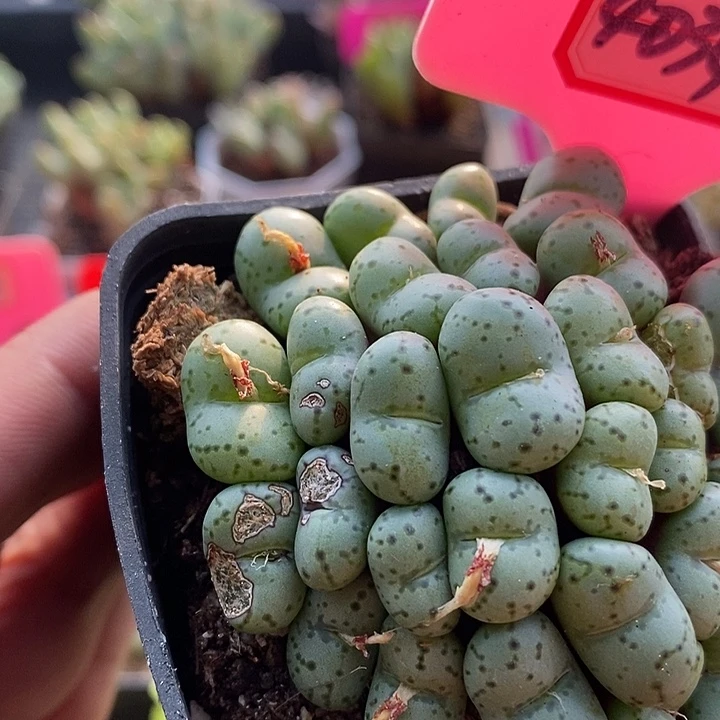 这样你的心都4034