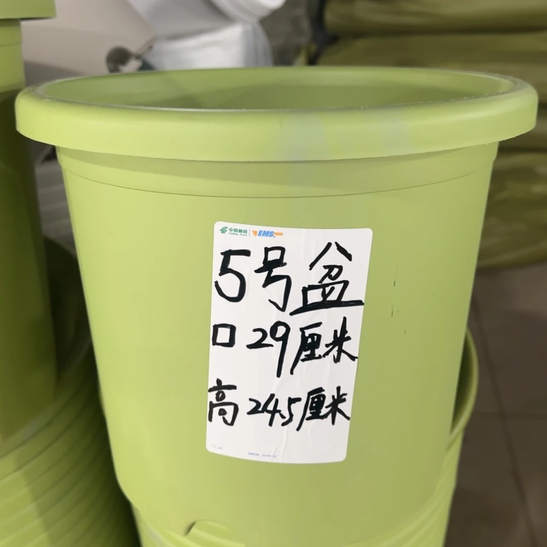 塑料四季5号10个无托，颜色看备注