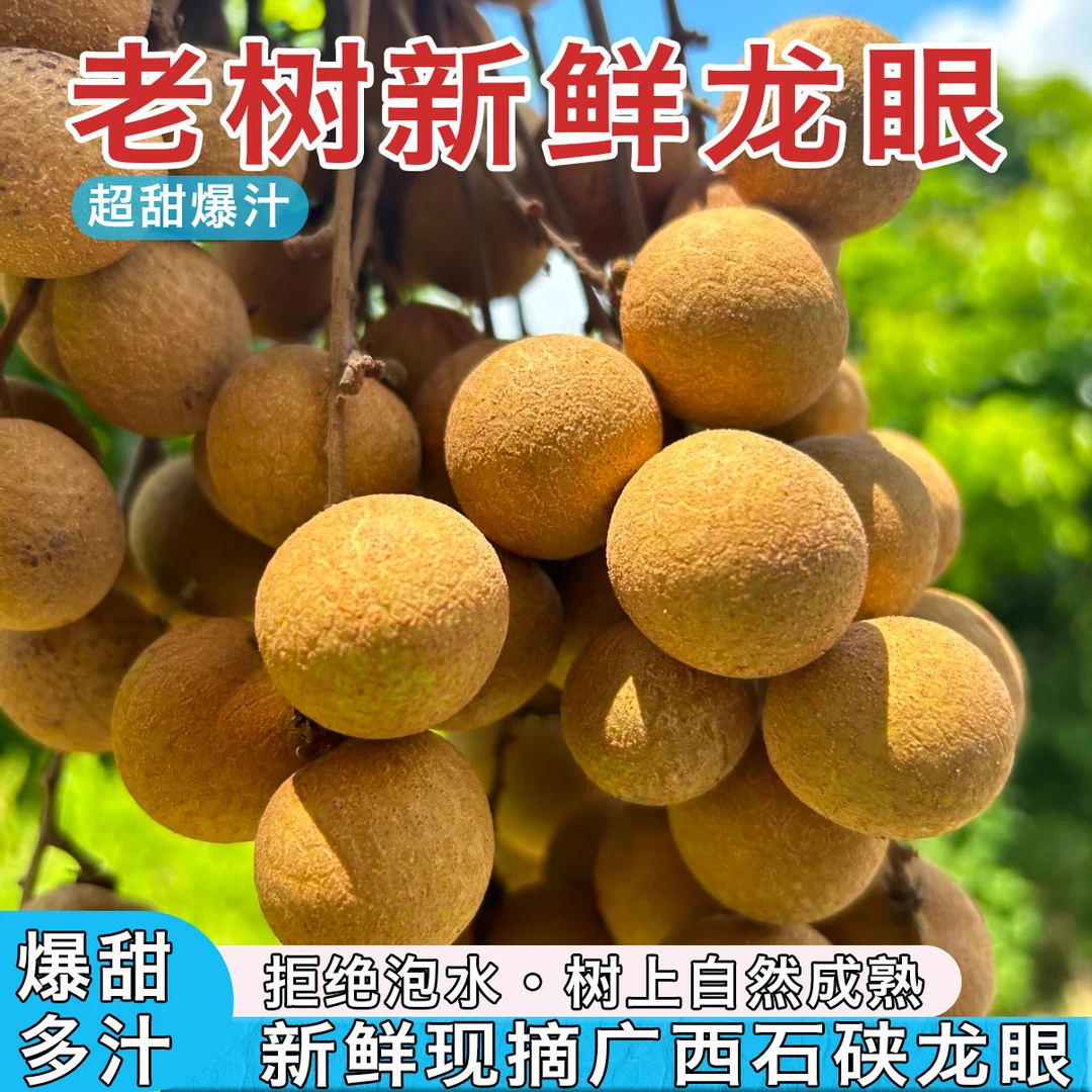 【顺丰京东包邮】广西现摘石硖龙眼当季新鲜水果清甜多汁肉厚饱满