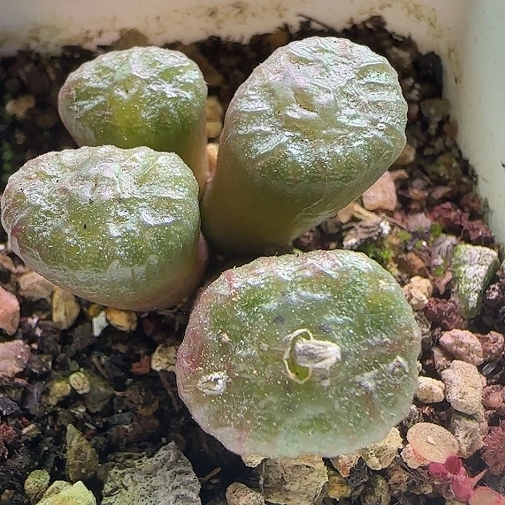 忈***哈哈哈哈哈哈哈339