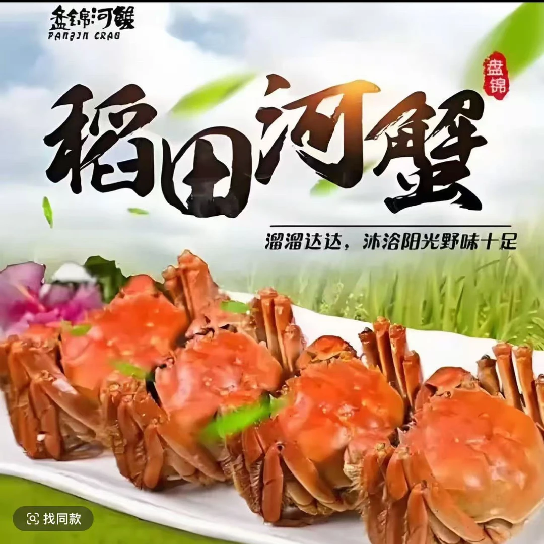 【活蟹】-盘锦河蟹-母蟹-1.3-1.6两共2斤（13-16只左右装）顺丰包邮