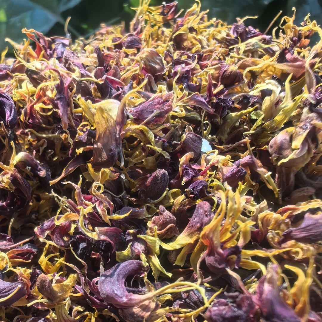 中缅大山土产 ~珍虫石壶花【茶】