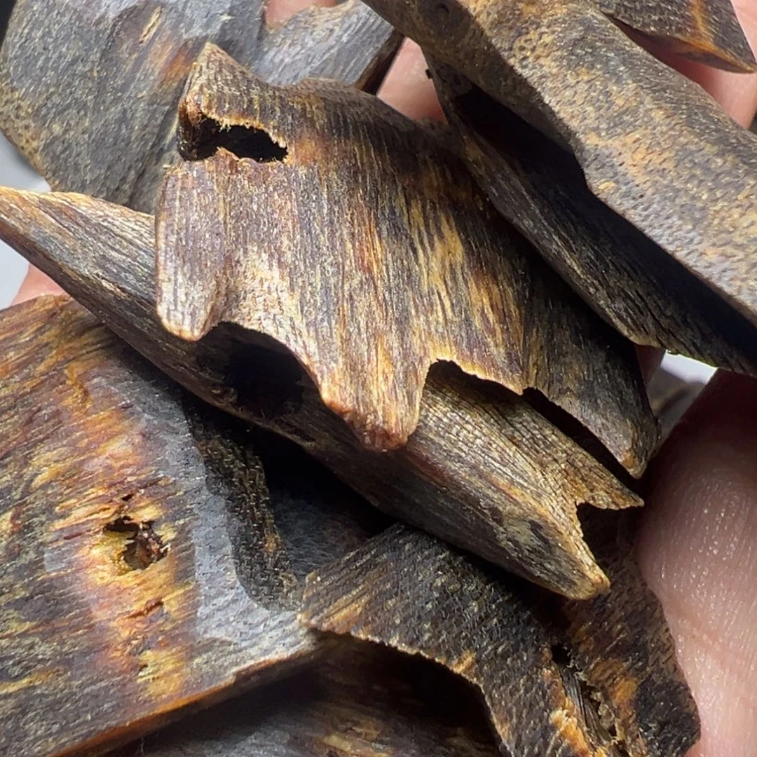 老***恭沉香沉香碎屑奇楠海南陆河块料50克