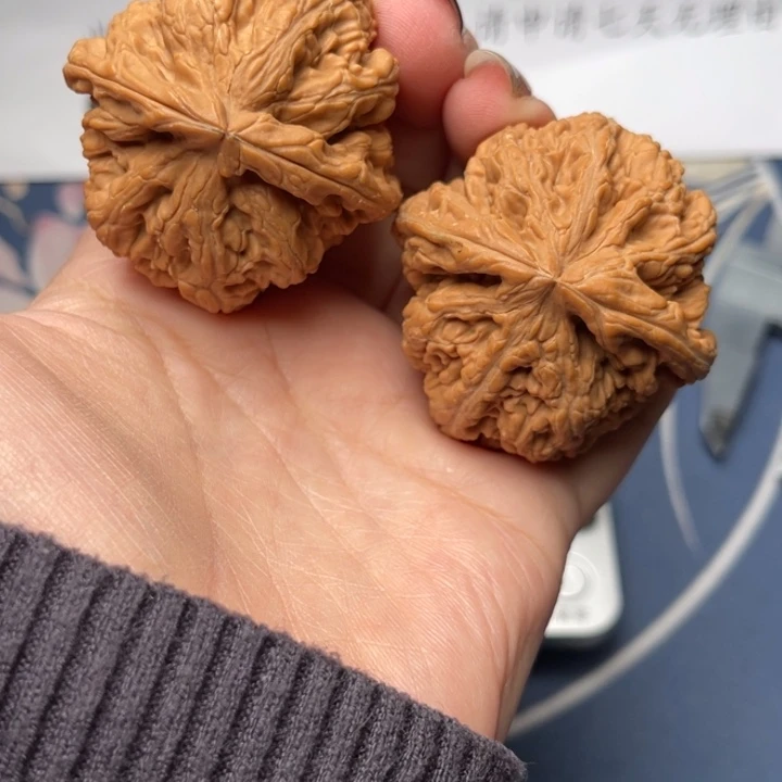 文玩核桃把件粗筋44