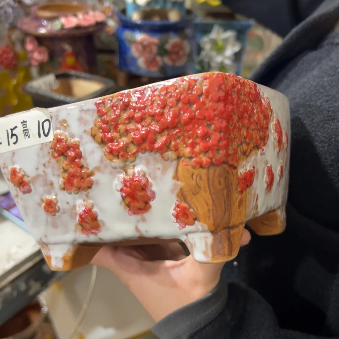 满20米秒退拉黑花盆