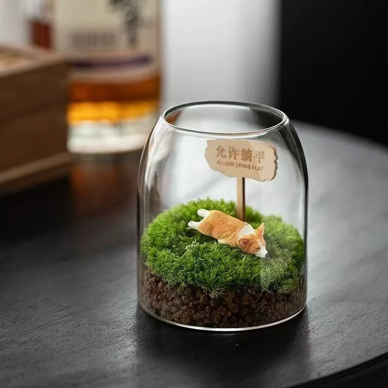 苔藓玻璃微景观室内桌面植愈创意懒人绿植盆栽趣味好养