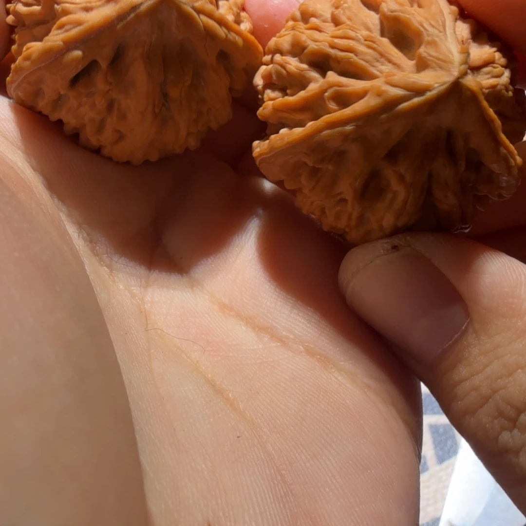 王***涛文玩核桃把件御龙