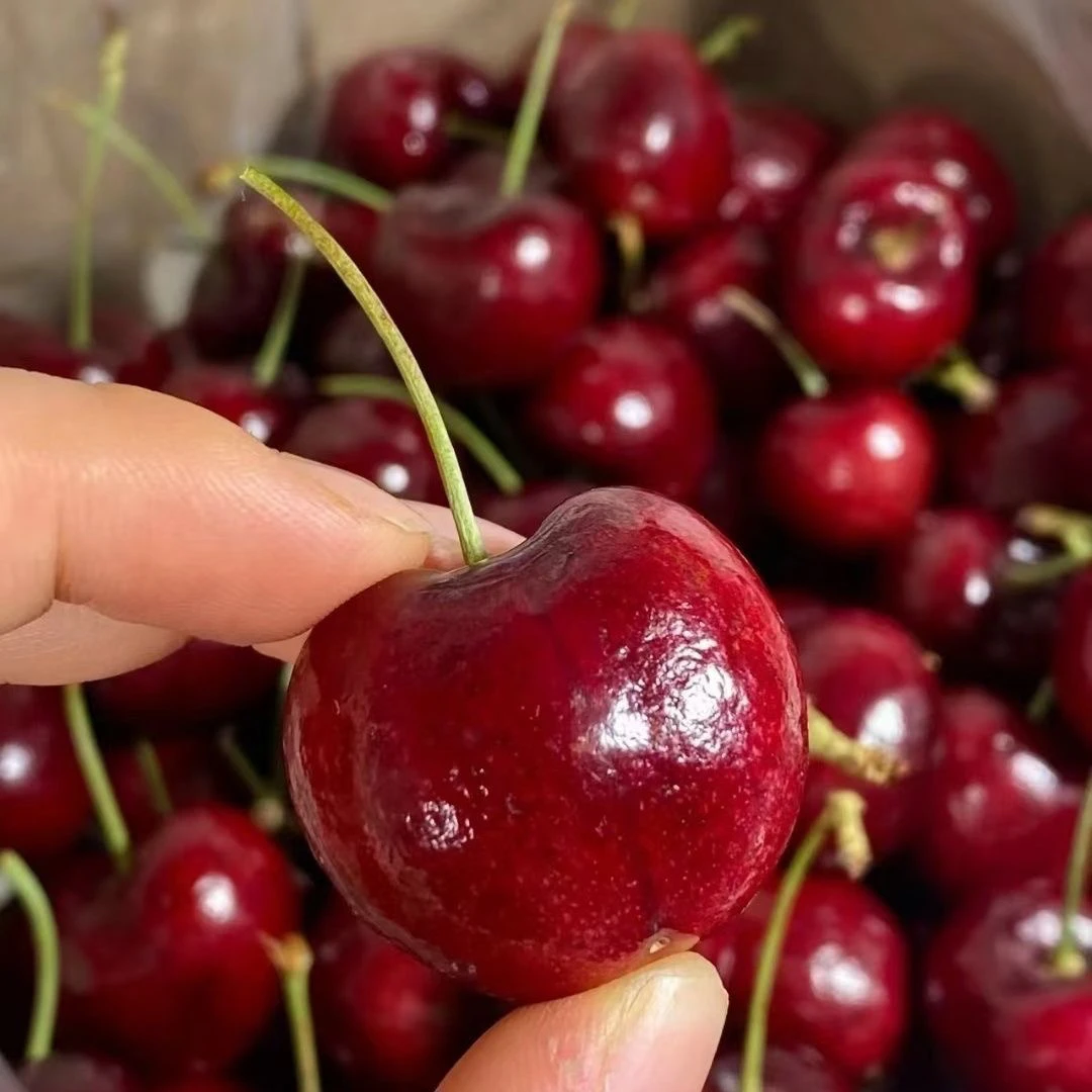 4JD车厘子脆甜口感保新鲜2斤和5斤装次日达