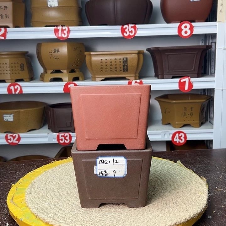 紫砂花盆你在一起