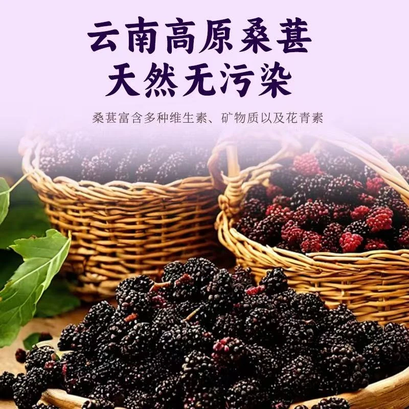 枇杷哥 黄精桑葚膏