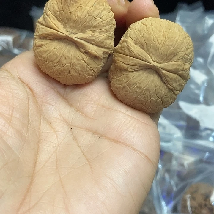 木质类云南铁核桃基地40