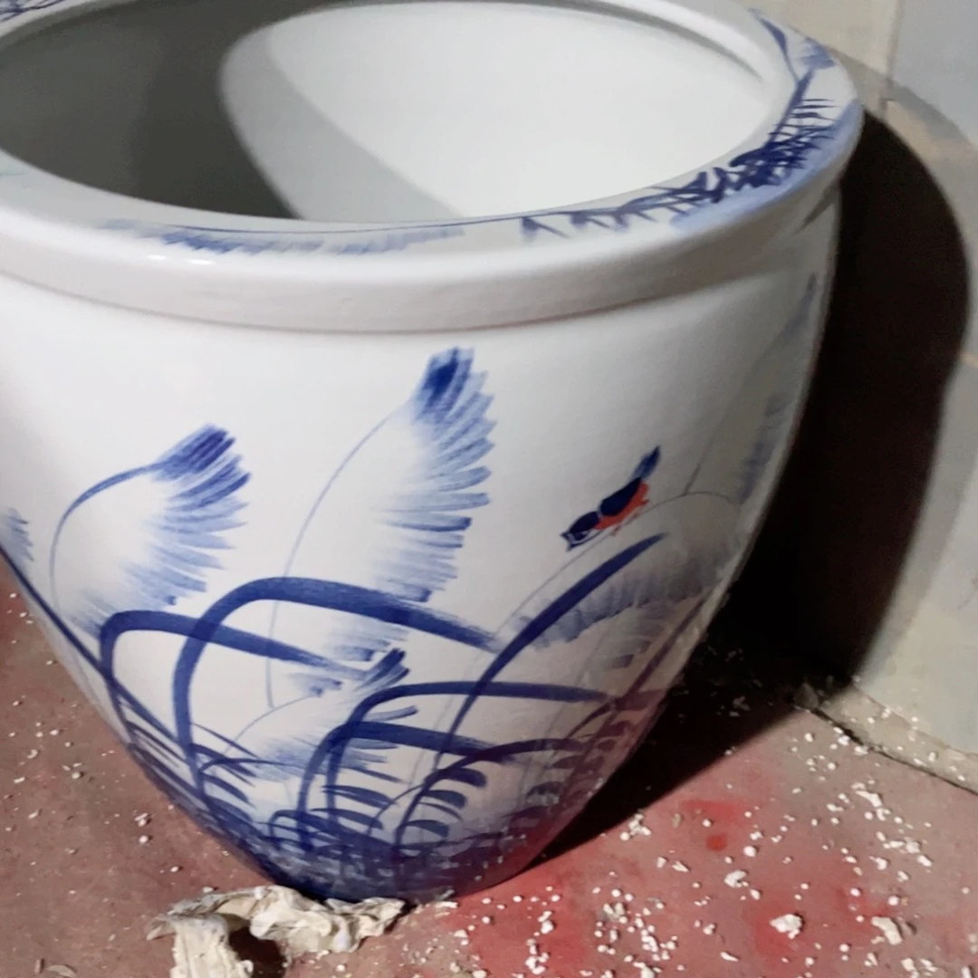 瓷片43✖️43芦苇888888888888