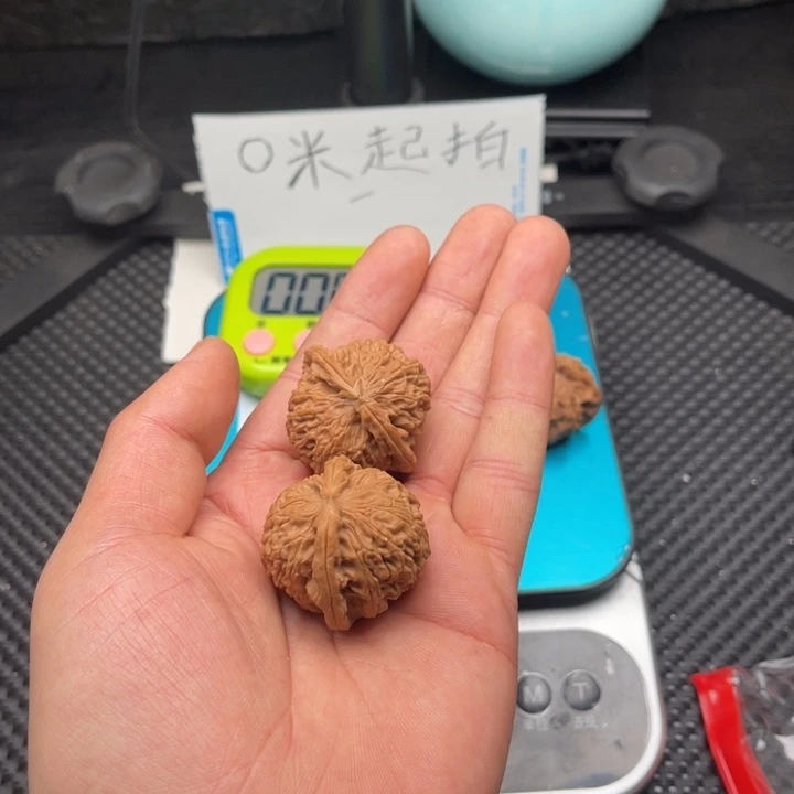 文玩核桃把件P36白狮子