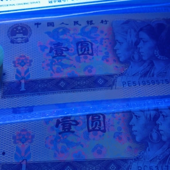 塑料801金龙王10张，欢迎新老客户下单