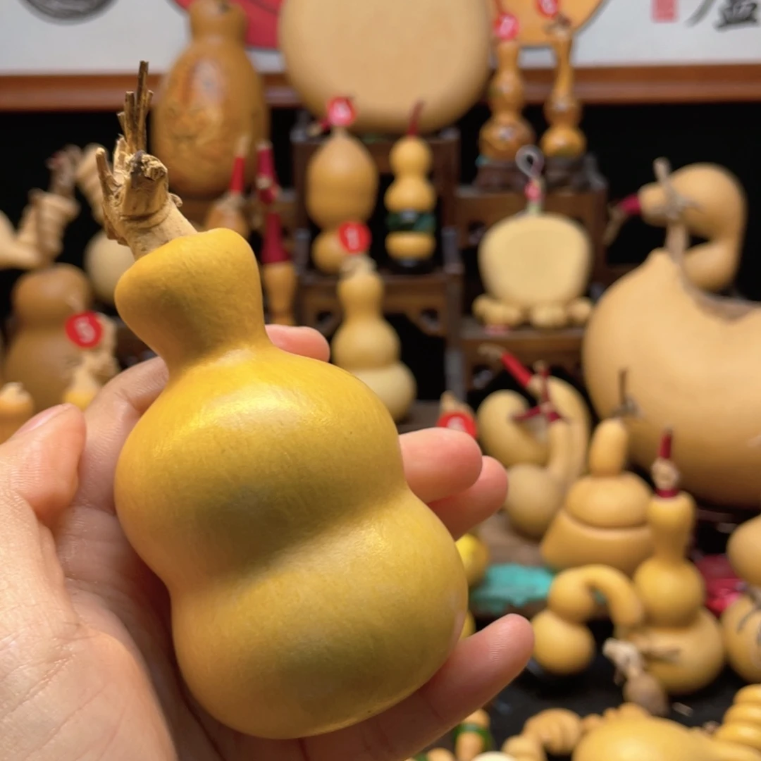 卡*大自然的秘密第十一节课