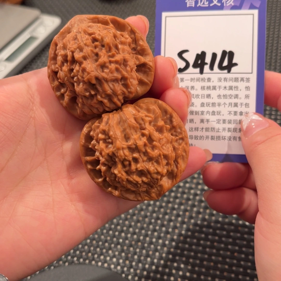 核桃S414号官帽44尺