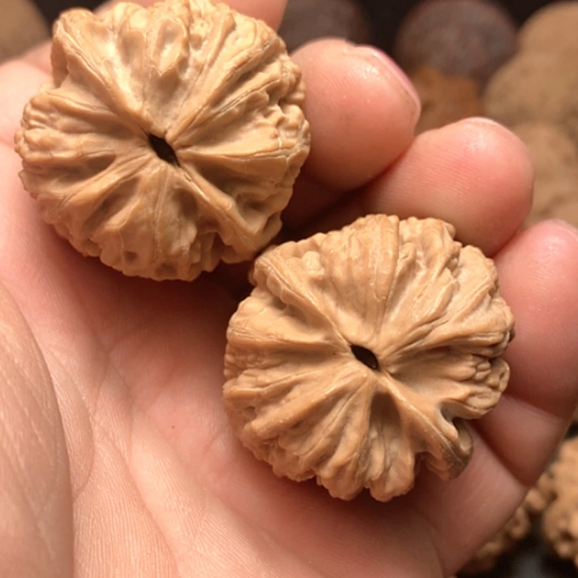 【闪购商品】青**影西北将军