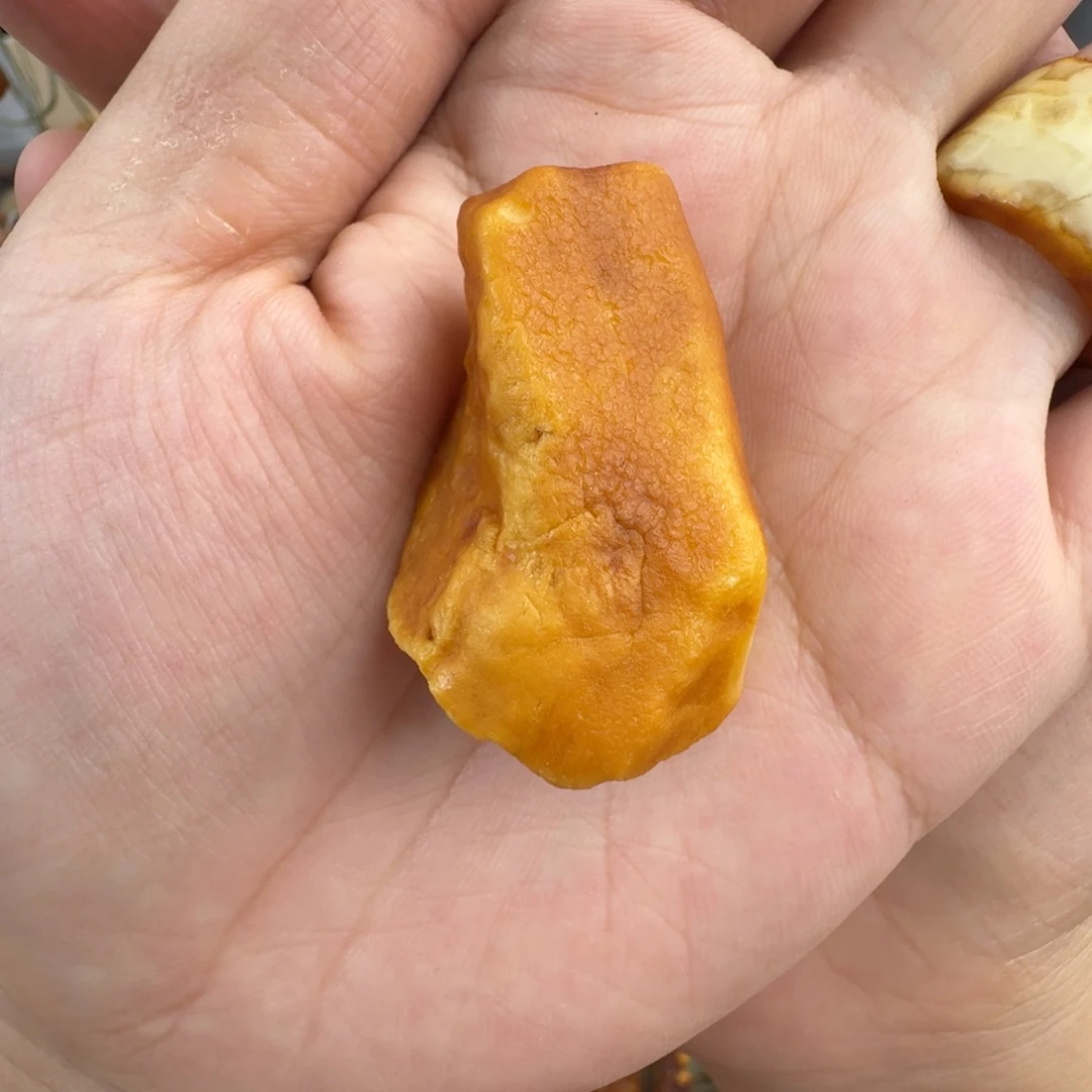 虫***。琥珀未镶嵌颈饰11.3克