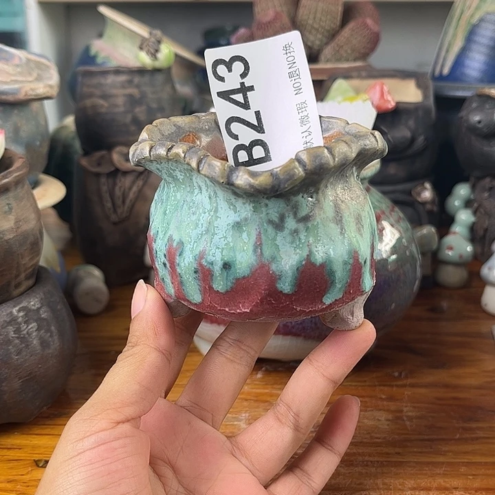 重庆小燕子欢迎大家来243