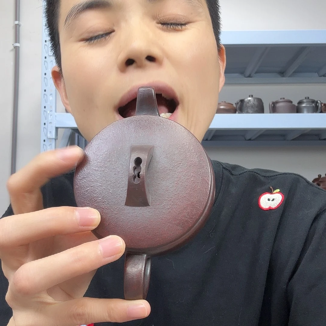 茶壶紫砂民间手艺人全手工制作