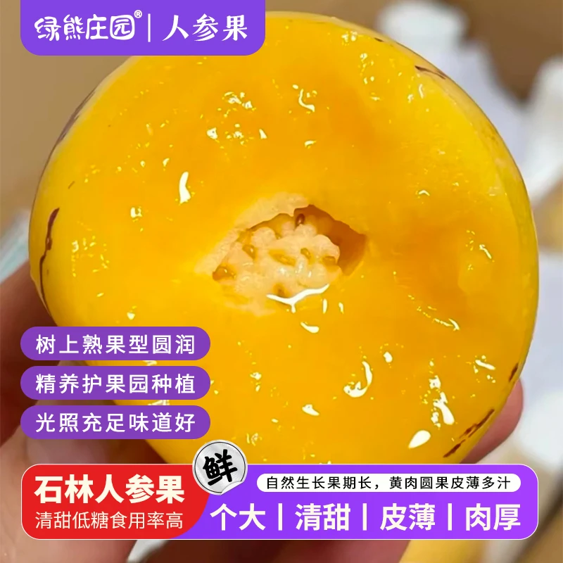 正宗石林人参果树上熟黄肉圆果低糖清甜多汁皮薄黄心香甜人参果