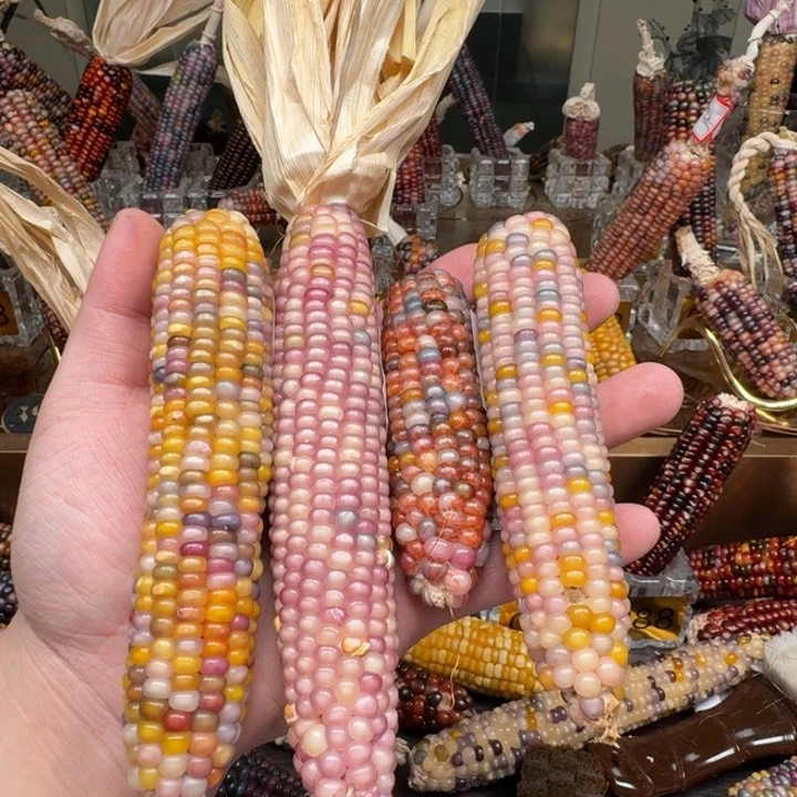 柏香籽/百香籽吊坠s****u