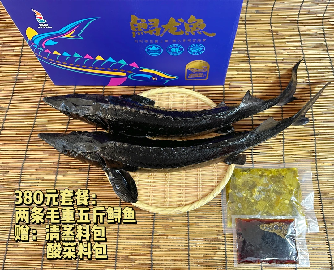 【鲟帆专属】石家庄鲟龙鱼 2条 礼包装 5斤/条毛重  现杀冰鲜水产